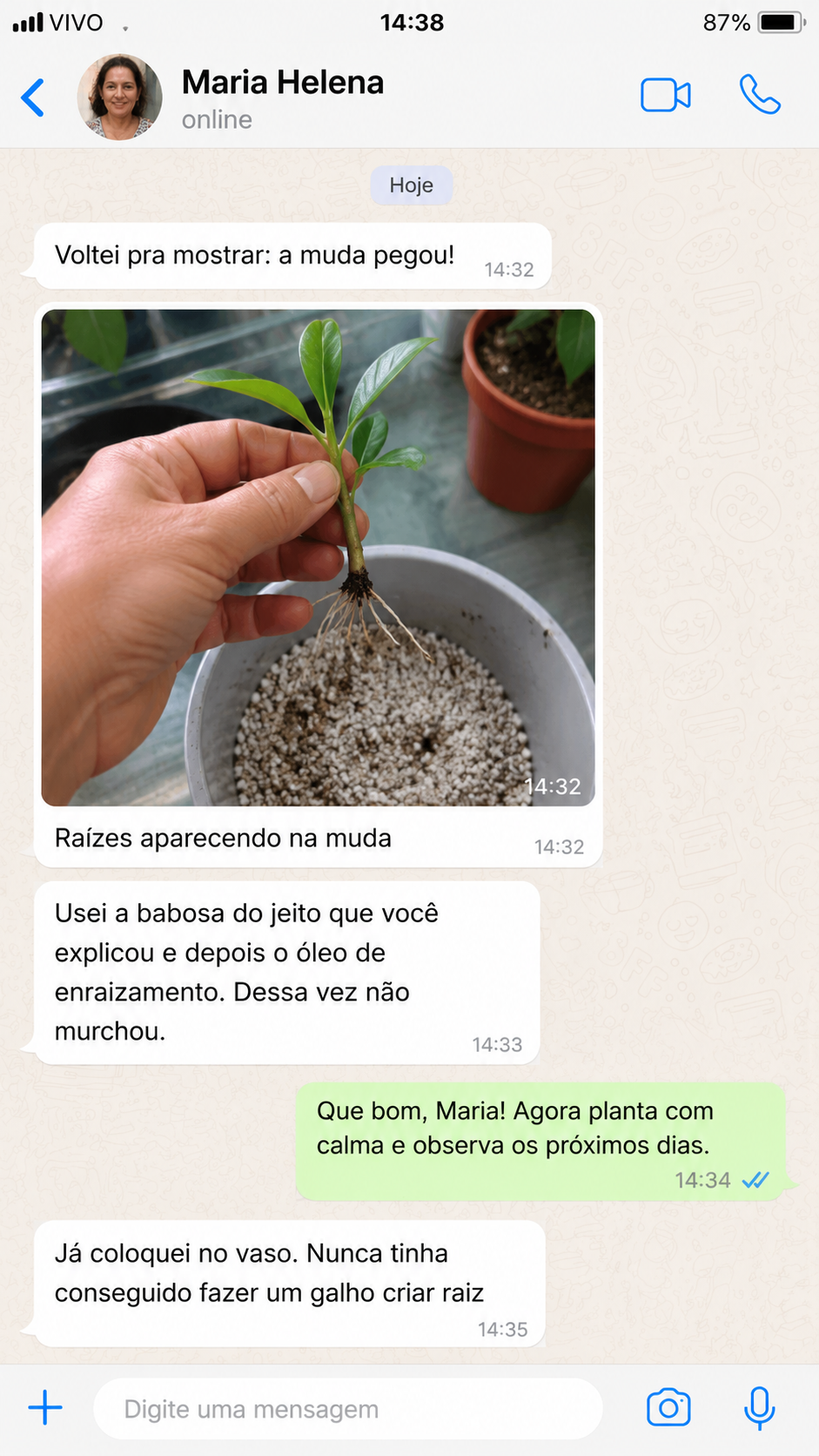 Depoimento sobre muda que pegou