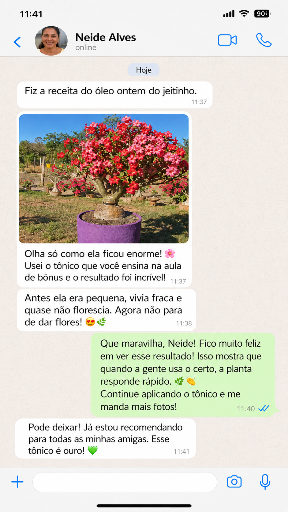 Depoimento sobre óleo de enraizamento